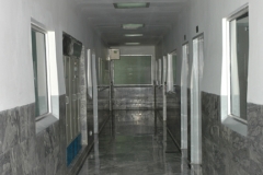 Factory-Picture-6-copy