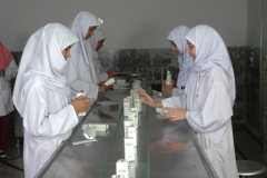 Factory-Picture-9-copy
